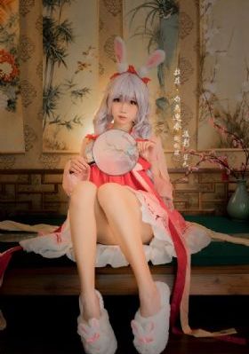 后宫露营樱花